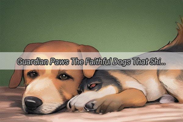 Guardian Paws The Faithful Dogs That Shield Their Owners Every Day